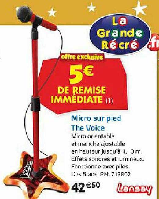 micro sur pied the voice
