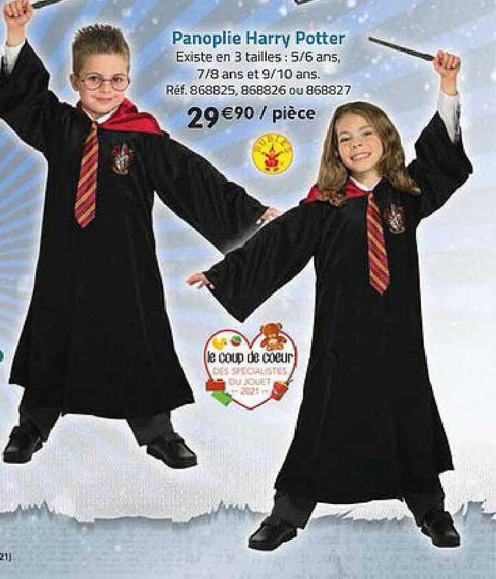 panoplie harry potter