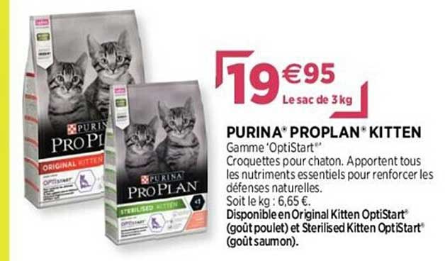 purina proplan kitten