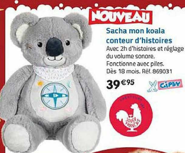sacha mon koala conteur d'histoires gipsy