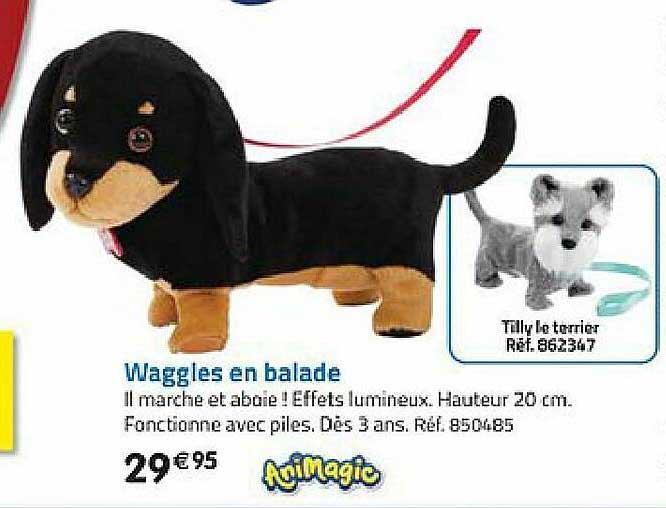 waggles en balade animagic