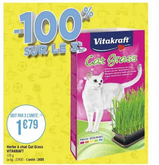 herbe à chat cat grass vitakraft