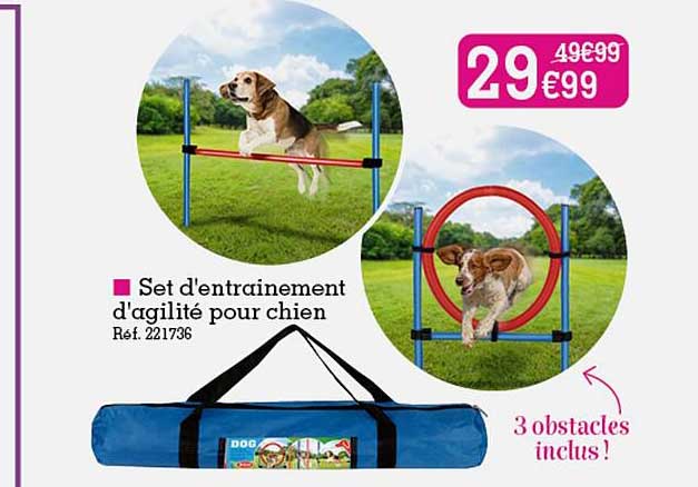 set d'entrainement d'agilité pour chien