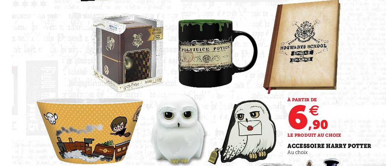 accessoire harry potter