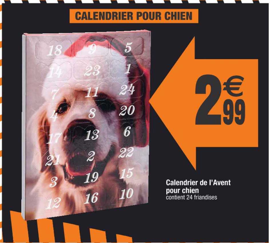 calendrier de l'avent pour chien