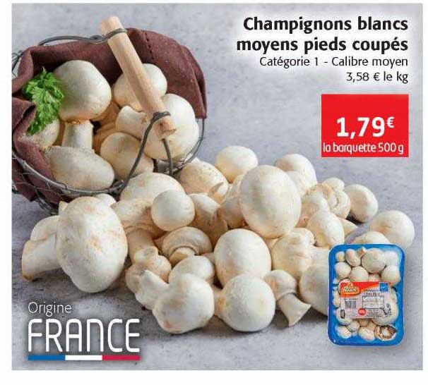 champignons blancs moyens pieds coupés