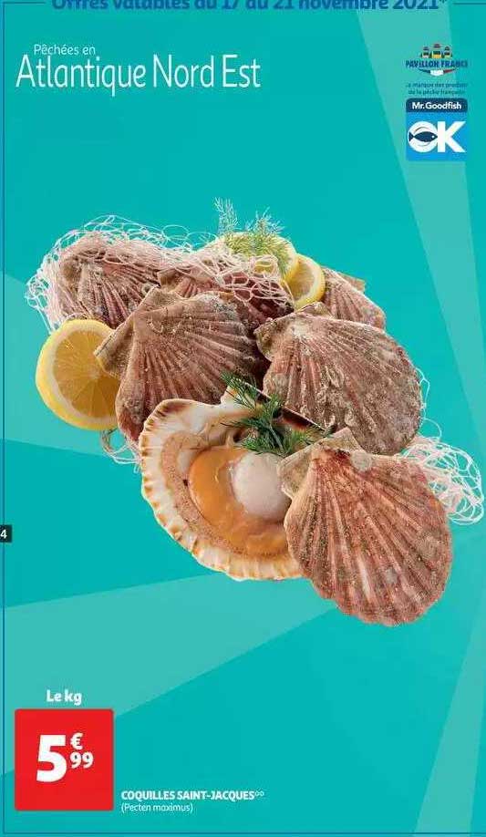 coquilles saint-jacques