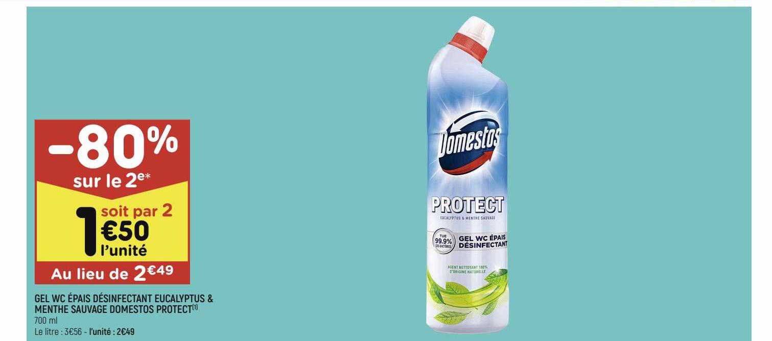 Gel Wc épais Désinfectant Eucalyptus & Menthe Sauvage Domestos Protect