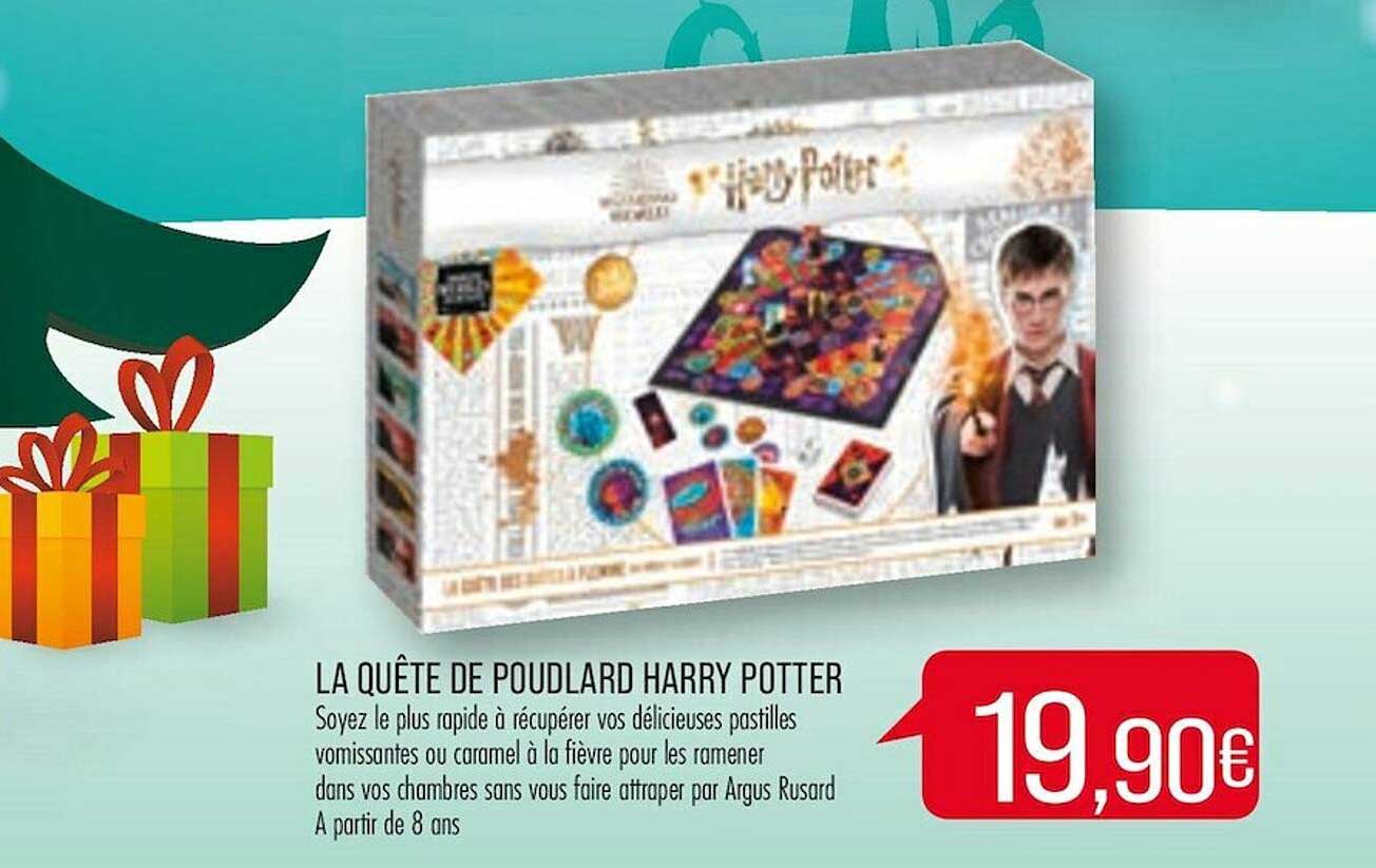 la quête de poudlard harry potter