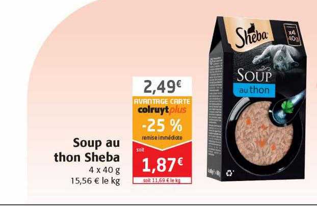 soup au thon sheba