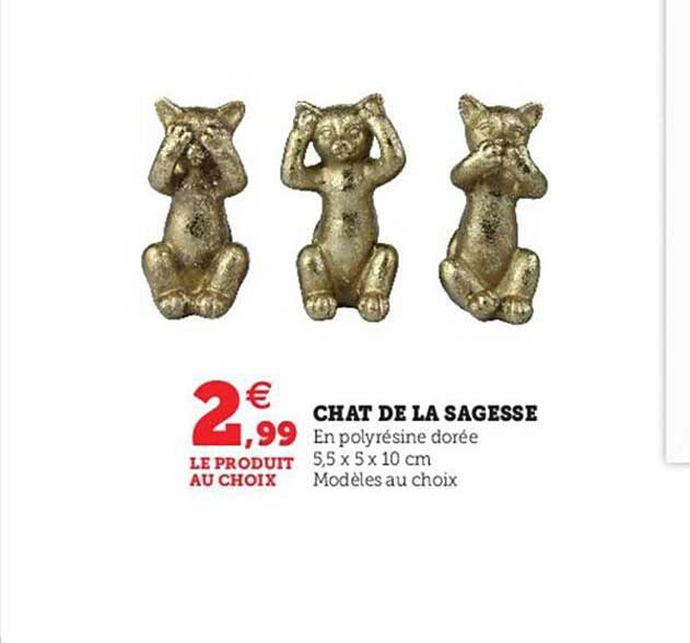 chat de la sagesse