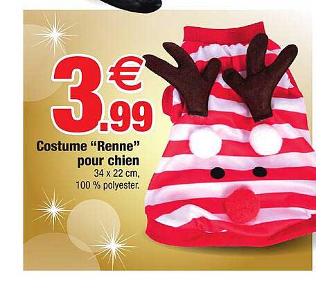 costume "renne" pour chien