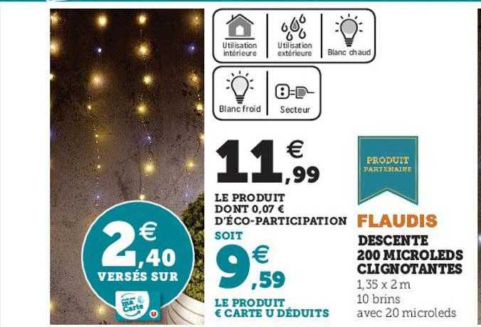 descente 200 microleds clignotantes flaudis