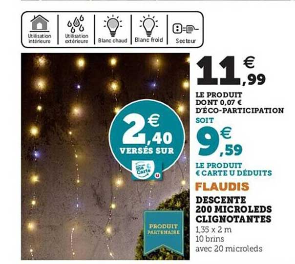 descente 200 microleds clignotantes flaudis