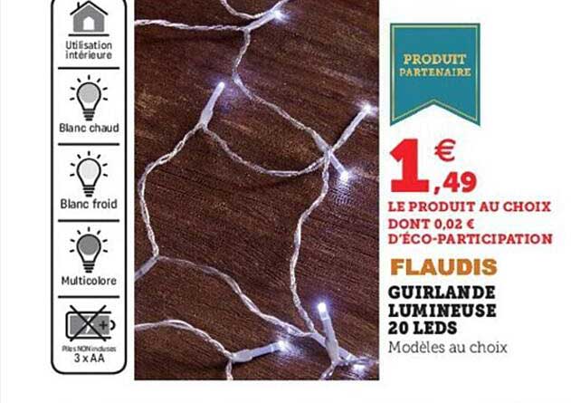 guirlande lumineuse 20 leds flaudis