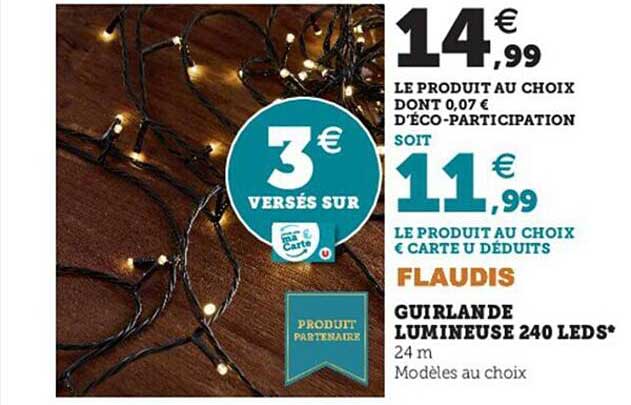 guirlande lumineuse 240 leds flaudis