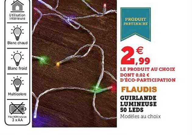 guirlande lumineuse 50 leds flaudis