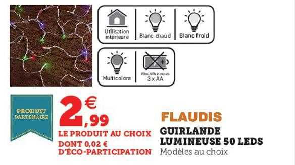 guirlande lumineuse 50 leds flaudis