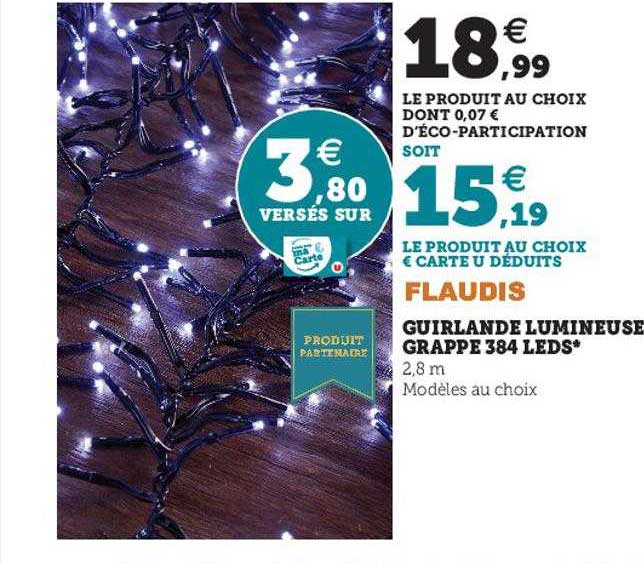 guirlande lumineuse grappe 384 leds flaudis