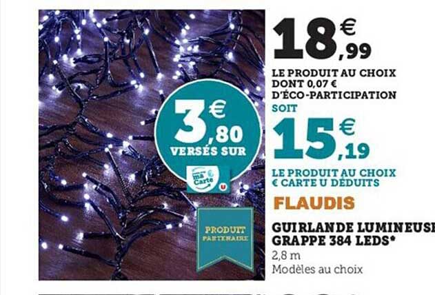 guirlande lumineuse grappe 384 leds flaudis