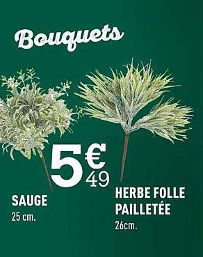 Herbe Folle Pailletée, Sauge