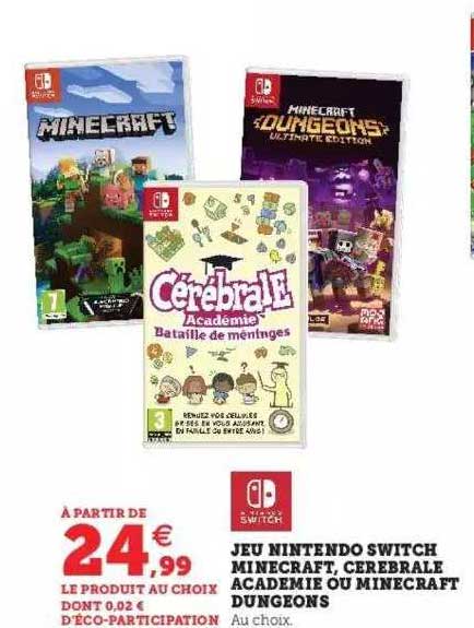 jeu nintendo switch minecraft, cerebrale academie ou minecraft dungeons