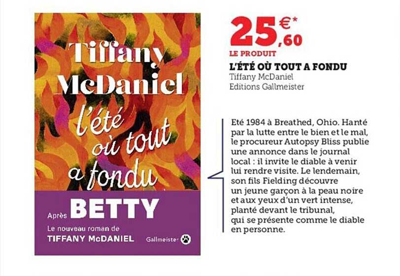 l'été où tout a fondu - tiffany mc daniel