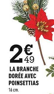 la branche dorée avec poinsettias