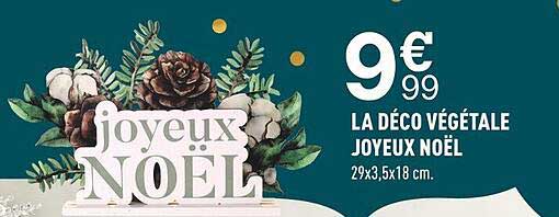 La Déco Végétale Joyeux Noël