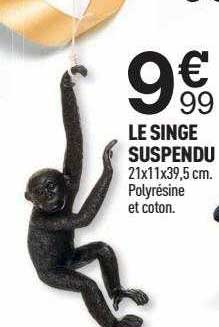 Le Singe Suspendu