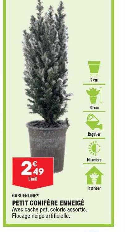 petit conifère enneigé gardenline