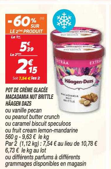 Pot De Crème Glacée Macadamia Nut Brittle Häagen Dazs