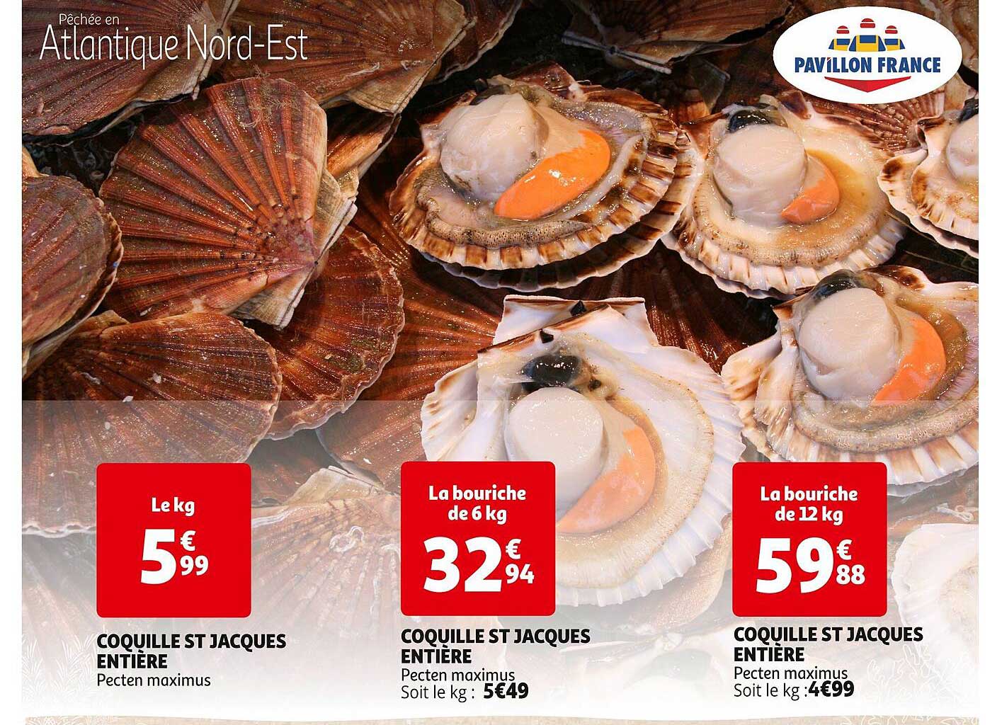 coquille st jacques entière