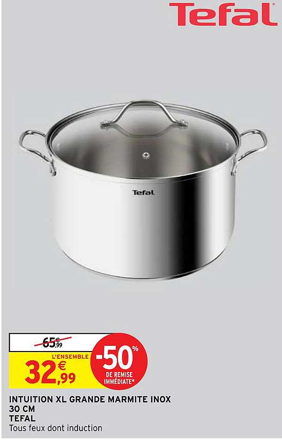 Intuition Xl Grande Marmite Inox 30 Cm Tefal