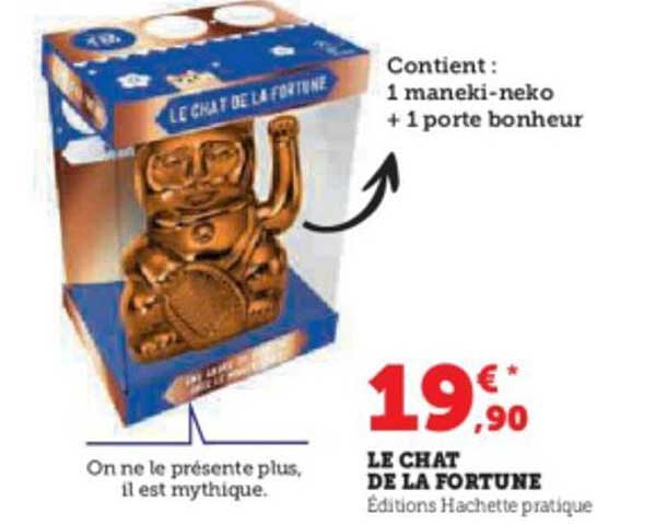 le chat de la fortune