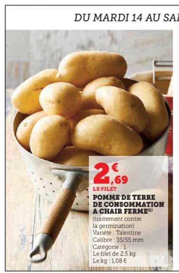 Pomme De Terre De Consommation à Chair Ferme