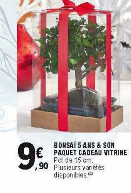 bonsaï 5 ans & son paquet cadeau vitrine