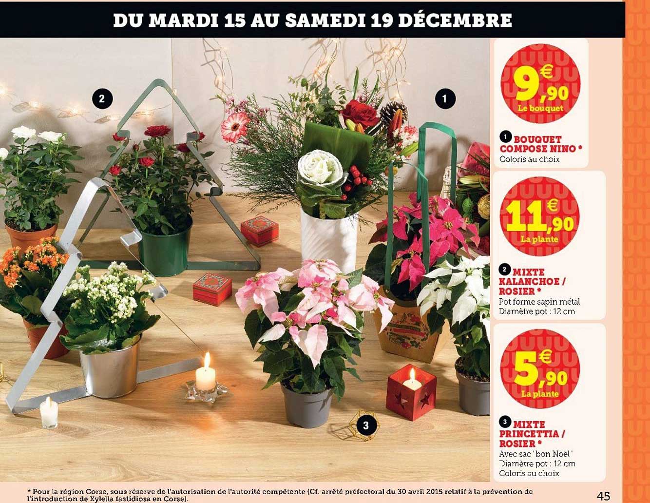 Bouquet Composé Nino, Mixte Kalanchoe Rosier, Mixte Princettia  Rosier