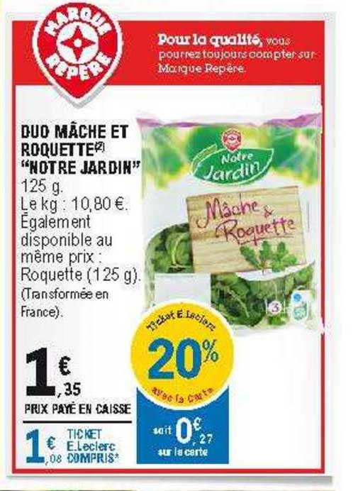 duo mâche et roquette "notre jardin"