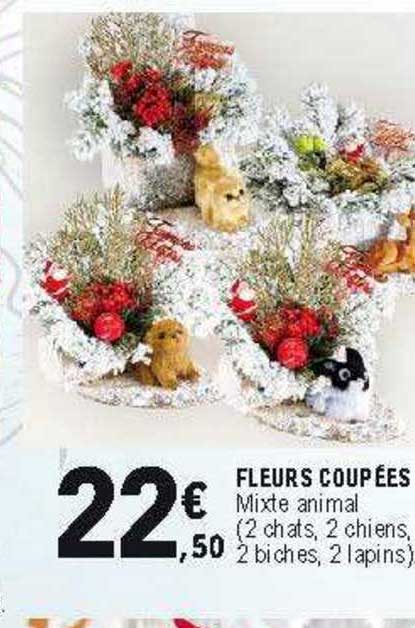 Fleurs Coupées Mixte Animal