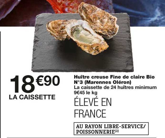 huître creuse fine de claire bio n°3 (marennes oléron)