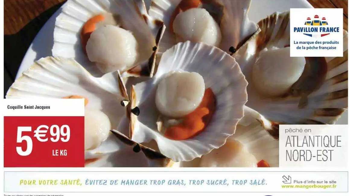 coquille saint jacques