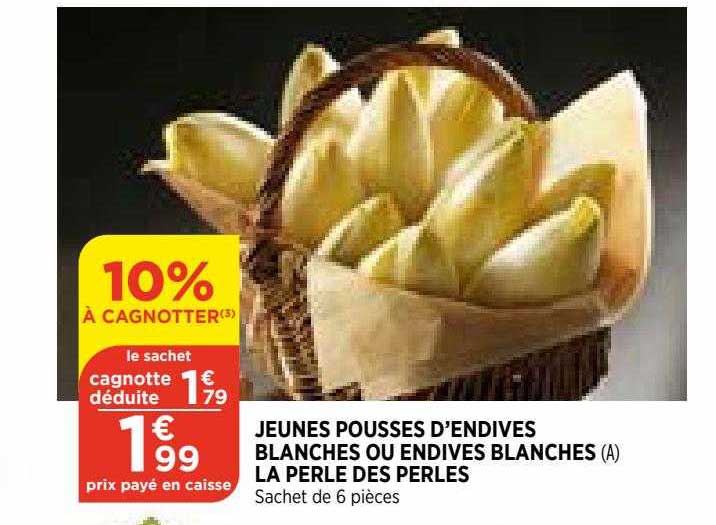 jeunes pousses d'endives blanches ou endives blanches la perle des perles