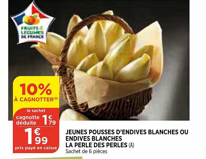 Jeunes Pousses D'endives Blanches Ou Endives Blanches La Perle Des Perles
