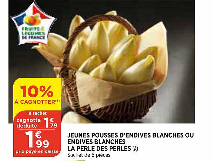 jeunes pousses d'endives blanches ou endives blanches la perle des perles
