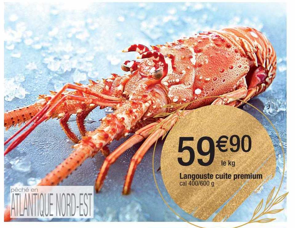 Langouste Cuite Premium