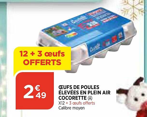 oeufs de poules élevées en plein air cocorette