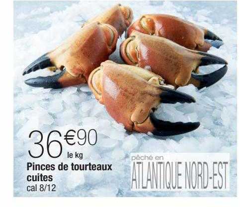 pinces de tourteaux cuites