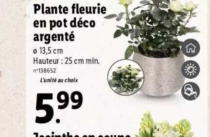 plante fleurie en pot déco argenté
