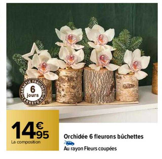 orchidée 6 fleurons bûchettes